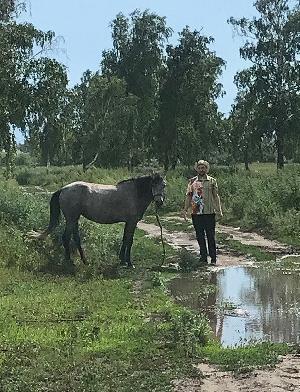 Конь